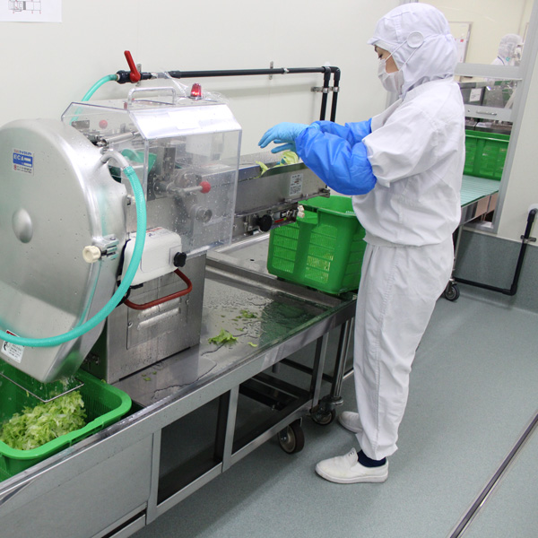 Learn how to reduce cross-contamination in your facilities with a proper footwear hygiene.
