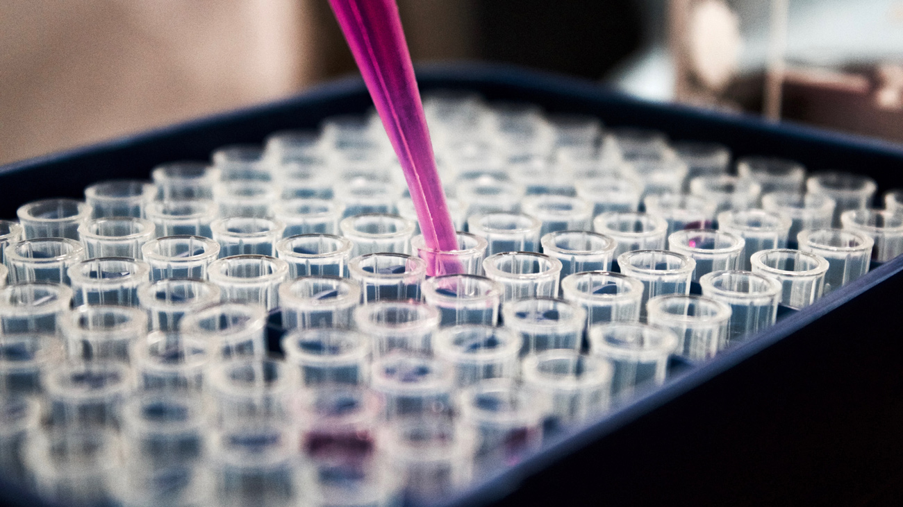 Joint research agreement with Osaka University Research Institute for Microbial Diseases. Start of efficacy evaluation test using the new coronavirus pathogen according to European standard test methods.